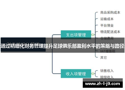 通过精细化财务管理提升足球俱乐部盈利水平的策略与路径